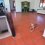 El Rincon Verde